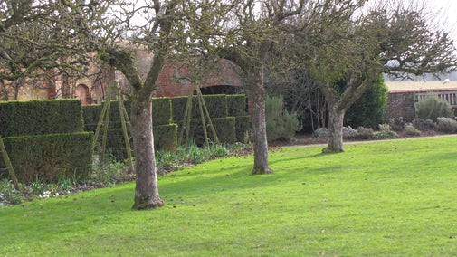 A view of the clipped hedges in the wintry Walled Garden at Baddesley Clinton, Warwickshire